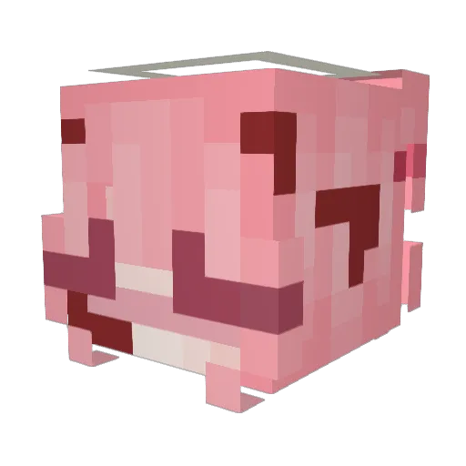 iyunol Minecraft avatar head, 3D render