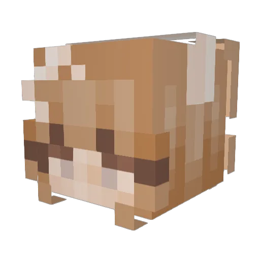 izabela8 Minecraft avatar head, 3D render