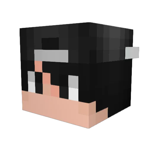 izii_warken Minecraft avatar head, 3D render