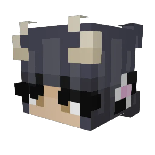 iziscoolll Minecraft avatar head, 3D render