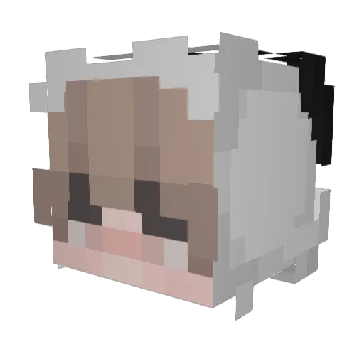 iznp Minecraft avatar head, 3D render