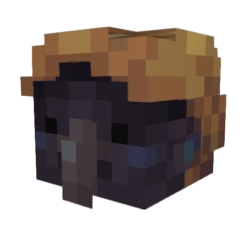 izuboo2001 Minecraft avatar head, 3D render