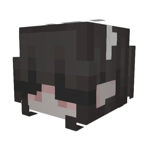 izvia Minecraft avatar head, 3D render