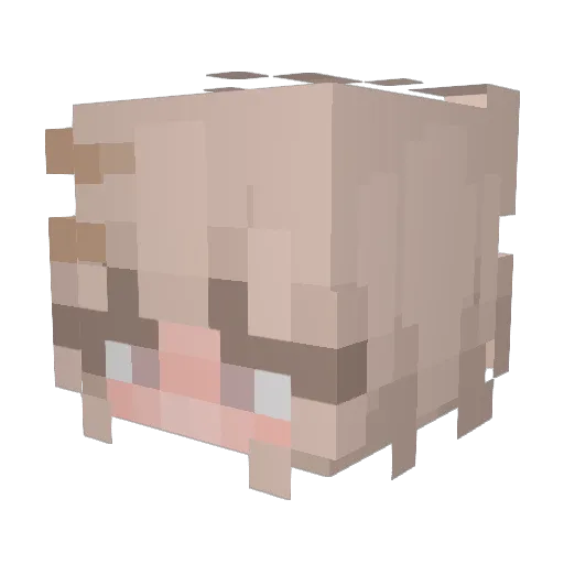 izzie111111 Minecraft avatar head, 3D render
