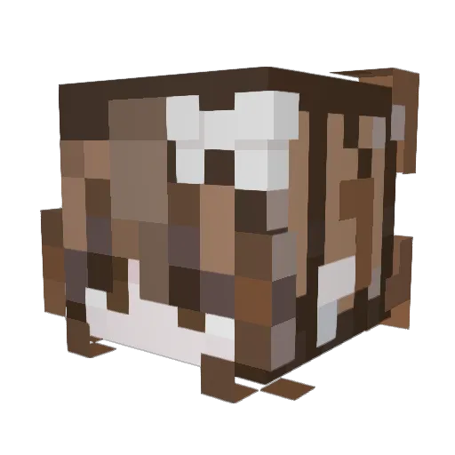 izzy0_ Minecraft avatar head, 3D render