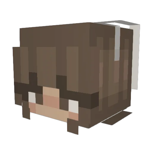 izzybdizzle69 Minecraft avatar head, 3D render