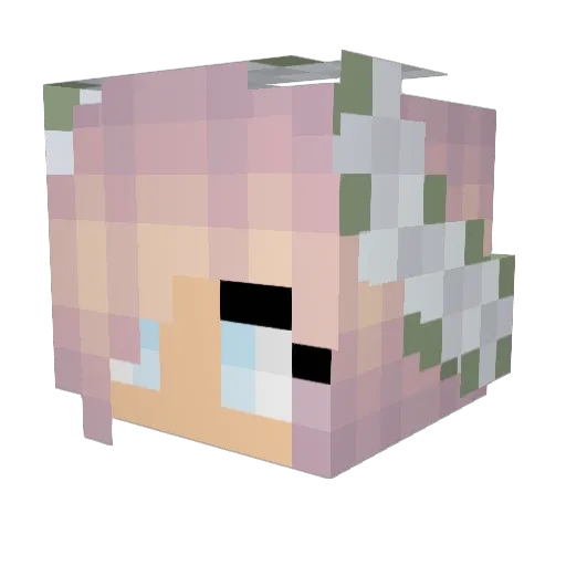 izzybear9 Minecraft avatar head, 3D render