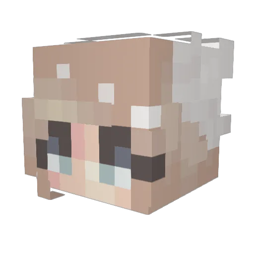 izzybee223 Minecraft avatar head, 3D render