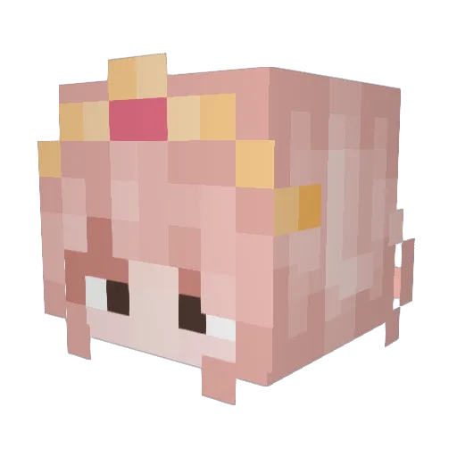 izzycrustyfeet Minecraft avatar head, 3D render