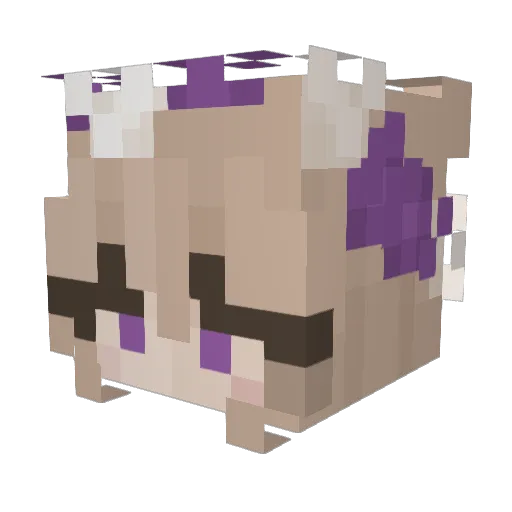 izzydrag0n Minecraft avatar head, 3D render