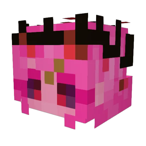 izzylane Minecraft avatar head, 3D render
