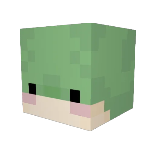 izzytag_ Minecraft avatar head, 3D render