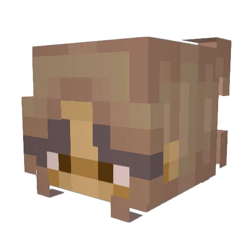 izzyxoxoxox Minecraft avatar head, 3D render