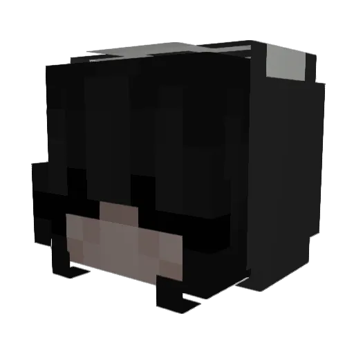 j0enotexotic Minecraft avatar head, 3D render