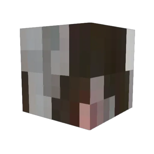 j0li4n Minecraft avatar head, 3D render