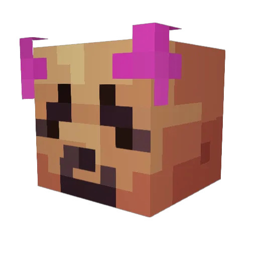 j0nsh0n Minecraft avatar head, 3D render