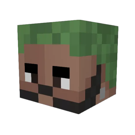 j1an1 Minecraft avatar head, 3D render