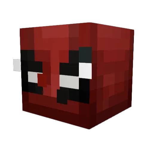 j1mmyjammer Minecraft avatar head, 3D render