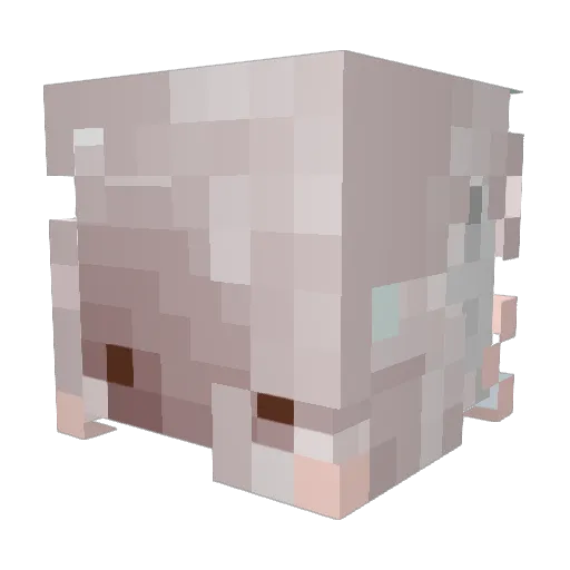 j3li_ Minecraft avatar head, 3D render