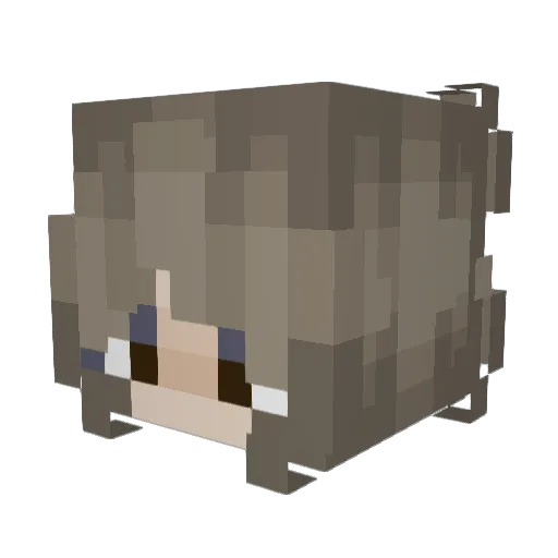 j3llybean7 Minecraft avatar head, 3D render
