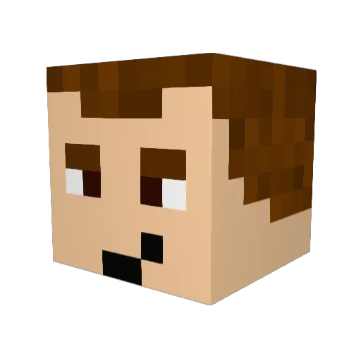 j455 Minecraft avatar head, 3D render