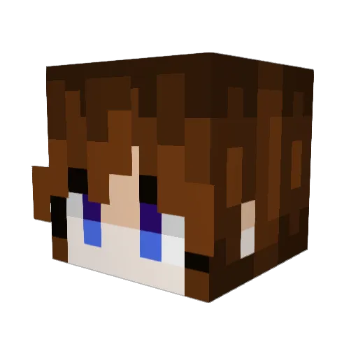 j4cks0n1020 Minecraft avatar head, 3D render