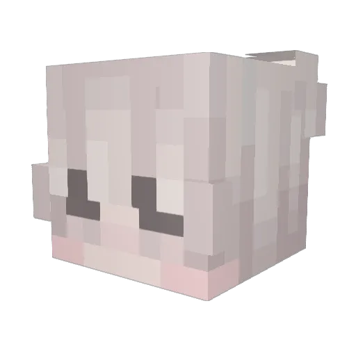 j4hl Minecraft avatar head, 3D render