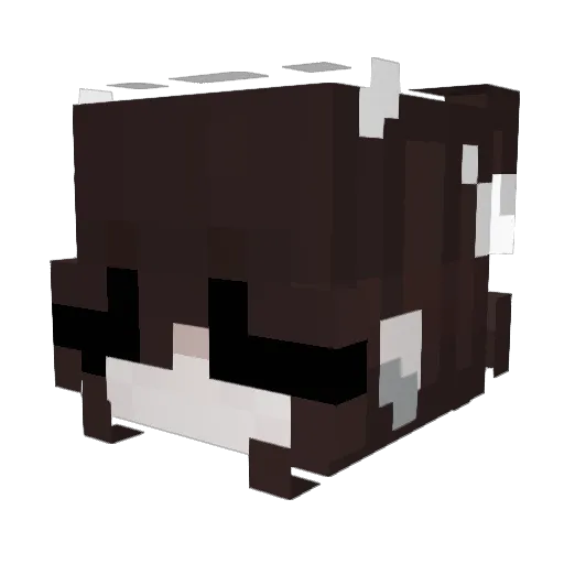 j4nny_007 Minecraft avatar head, 3D render