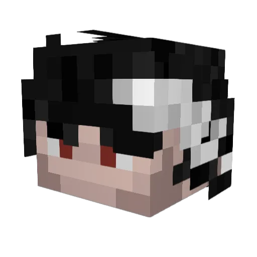 j6rodd Minecraft avatar head, 3D render