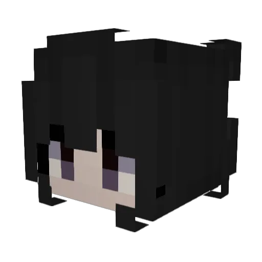j6s6n Minecraft avatar head, 3D render