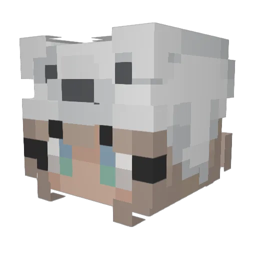 j7xnni Minecraft avatar head, 3D render
