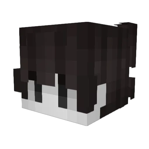 j7y Minecraft avatar head, 3D render