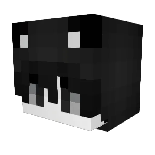 j8wdaj8daw Minecraft avatar head, 3D render