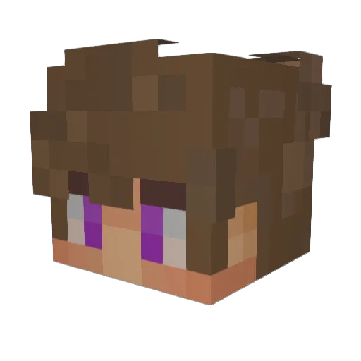jBcsgo Minecraft avatar head, 3D render