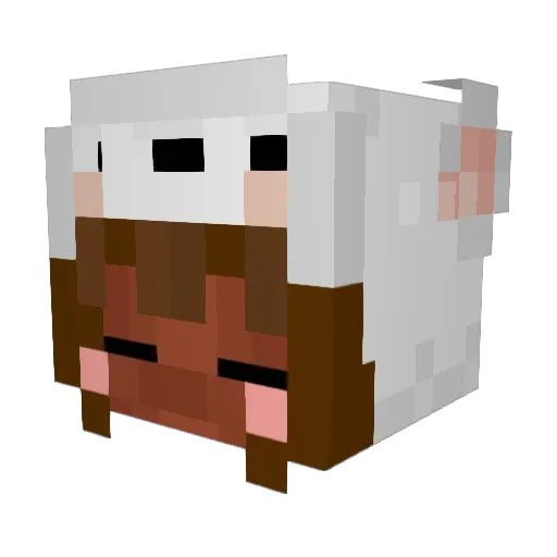 jWinfield Minecraft avatar head, 3D render