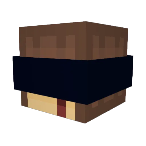 j_1902 Minecraft avatar head, 3D render