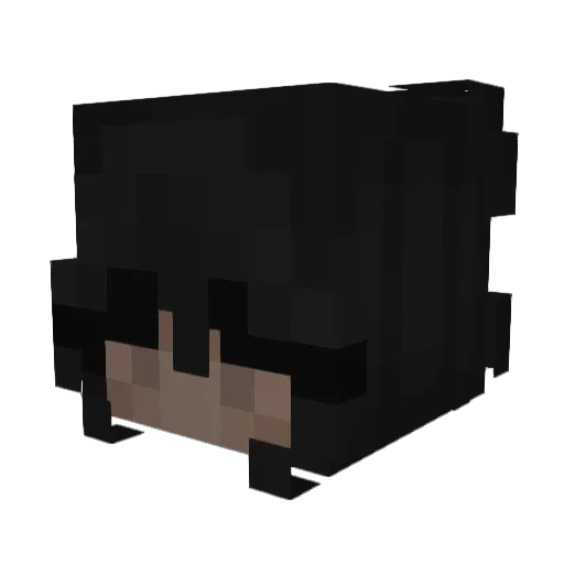 j_4__ze_7_ae_3_9 Minecraft avatar head, 3D render