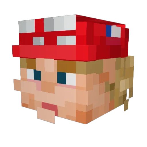 j_586W Minecraft avatar head, 3D render