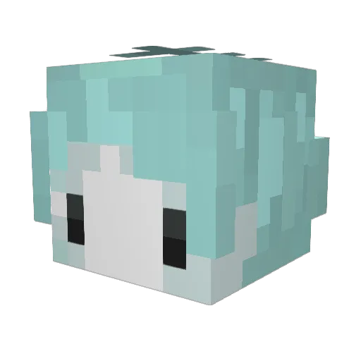 j_9 Minecraft avatar head, 3D render