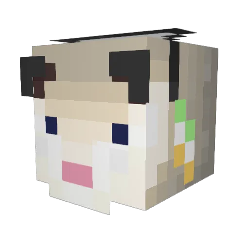 j_junii Minecraft avatar head, 3D render