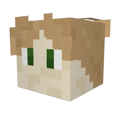 j_turtles Minecraft avatar head, 3D render