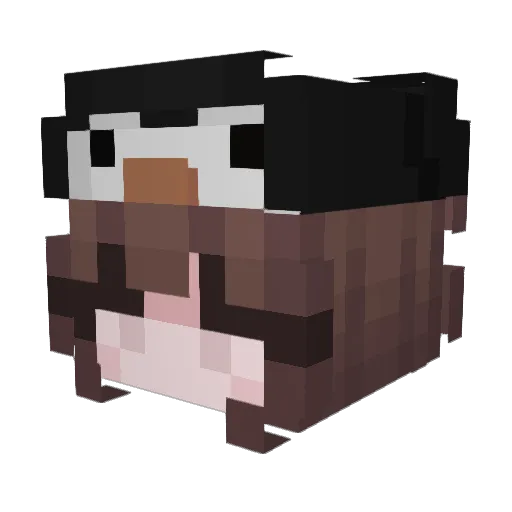 ja3yun13 Minecraft avatar head, 3D render