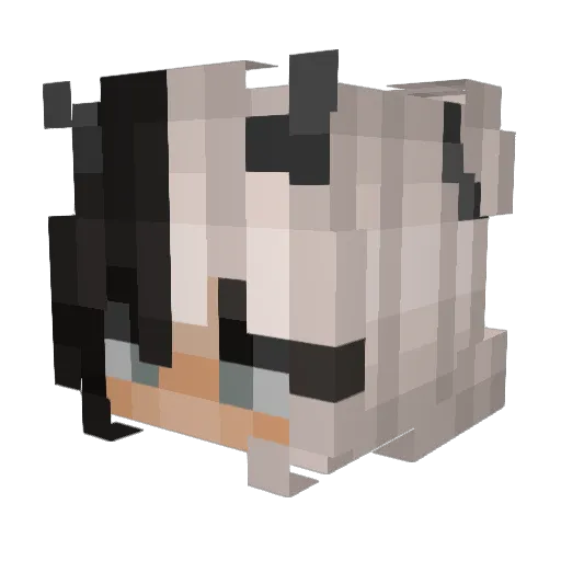 ja5m1ne Minecraft avatar head, 3D render