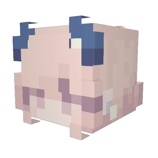 ja6199 Minecraft avatar head, 3D render