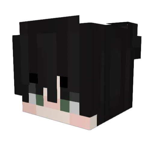 jaaaaaaaga Minecraft avatar head, 3D render