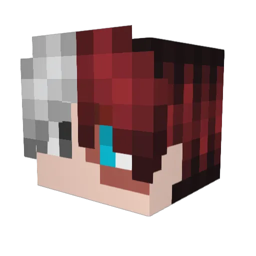 jaaaanl Minecraft avatar head, 3D render