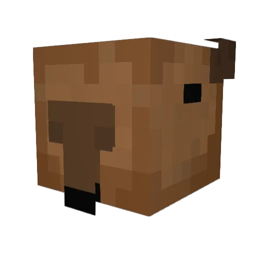 jaaaavii Minecraft avatar head, 3D render
