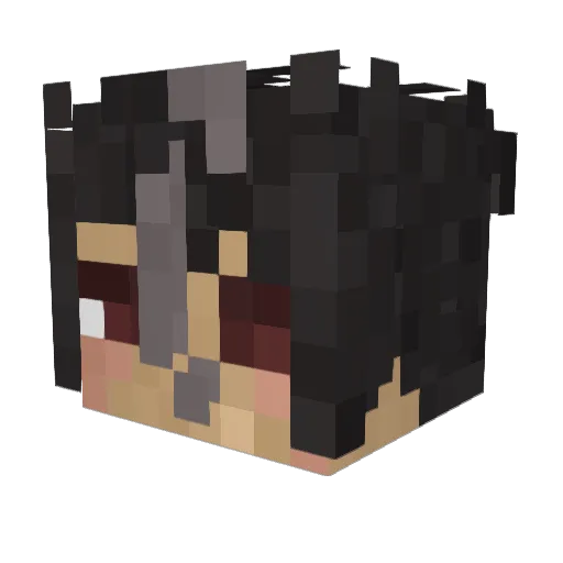 jaaanky Minecraft avatar head, 3D render