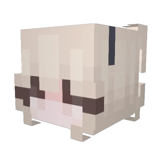 jaail Minecraft avatar head, 3D render