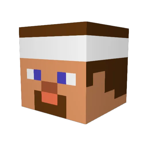 jaames228 Minecraft avatar head, 3D render